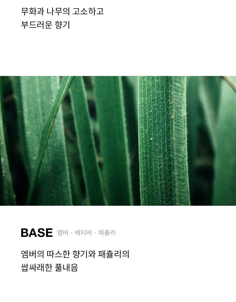 [기프트세트] 그라펜 타투 퍼퓸 원우드 29ml 선물세트(+코튼헤이즈솔리드퍼퓸 3g+기프트케이스) 상세페이지 12